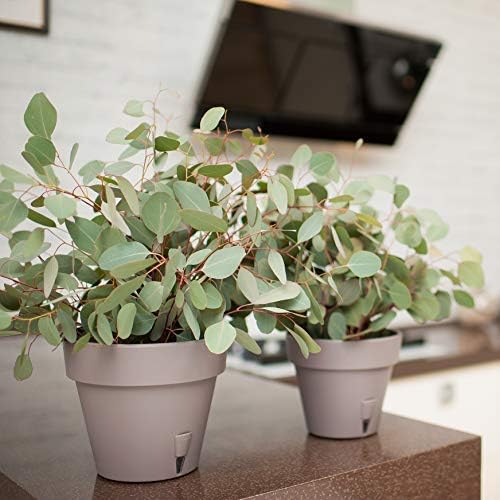 DECOPOTS - Pack of 3 - Self Watering Window Box Planter - Indoor/Outdoor - Windowsill/Oblong Shape Plastic Planter with Bottom Watering and Water Level Indicator (15.6 Inch Long, Shade)