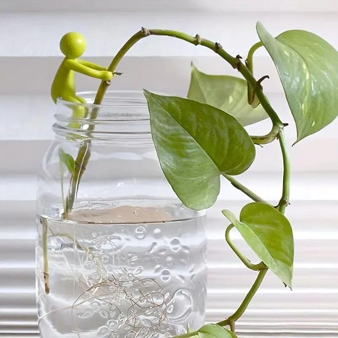 Plant Supports for Indoor Plants - Hydroponic Plant Propagation Station with Prop Drops for Plants Lovers and Water Propagation Buddies 3-Piece