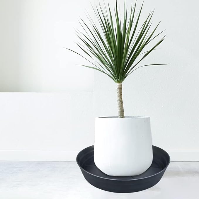 LWALRS Plant Saucer 18 Inch, Extra Large Planter Saucer 2 Pack, Plastic Plant Saucers for Indoors and Outdoors, Plant Pot Saucers, Drainage Tray for 16, 17, 18 in Planters