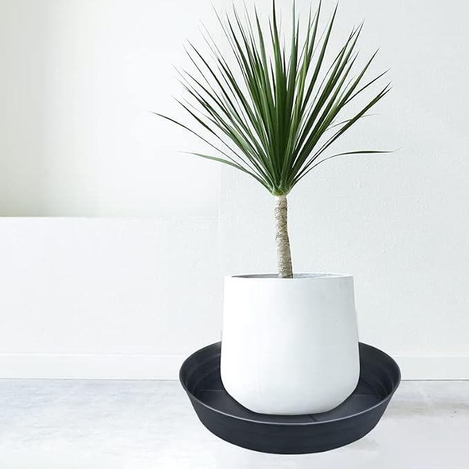 25 Inch Extra Large Plant Saucers, Extra-Deep 4.25 in Black Drip Trays for Flower Pot, Heavy Duty Drainage Tray Indoors No Holes, 2 Pack Plastic Planter Plate Water Catcher for Pots Base 20 21 22 in