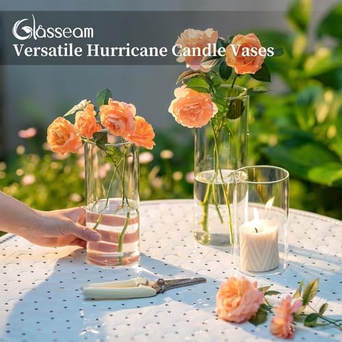 Glasseam Glass Cylinder Vase for Centerpiece, 12Pcs Small Clear Flower Vase - Image 6
