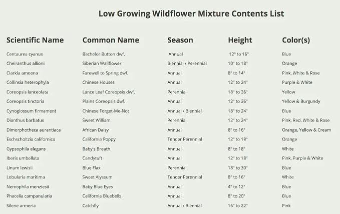 Seed Needs Wildflower Seeds Low Growing 2 Ounce Heirloom Bulk Pack