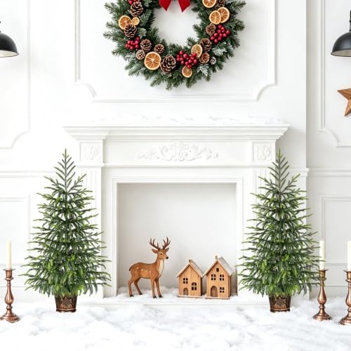 BLEUM CADE 2 Pack 3FT Small Norfolk Pine Tree, Table top Christmas Tree - Image 4