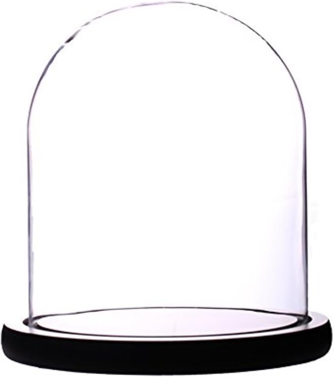 Glass Cloche Bell Jar Display Dome 5.6x7 Inch, Clear High Borosilicate Glass Bell Jar with Black Wooden Base, Dustproof Display Case for Plants Candles Jewelry Home Wedding Decor