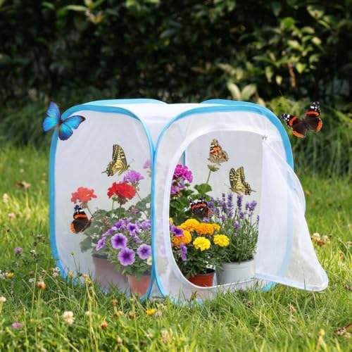 Insect & Butterfly Habitat Cage, Portable Pop-Up Terrarium with Mesh Sides, Bug Catching & Observation Enclosure for Caterpillars, Small Insects, Outdoor & Classroom Use, 24 Inches Tall - Image 6