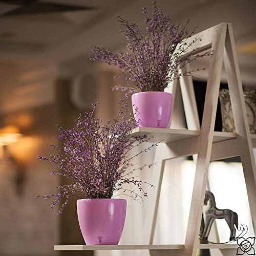 Santino 6.7 Inch Deco Self Watering Pots for Indoor Plants in White (Set of 3) - Decorative Flower Pot with Water Level Indicator and Drainage Cartridge for All House Plants, Flowers and Herbs