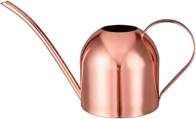 IMEEA Indoor Watering Can for House Plants 33oz/1L Stainless Steel Watering Can with Long Spout for Succulents, Bonsai