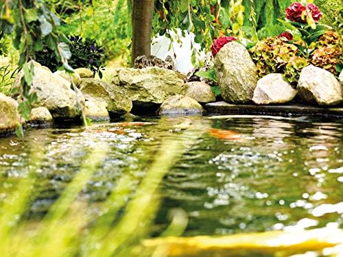 OASE Neptune 2000 Pump