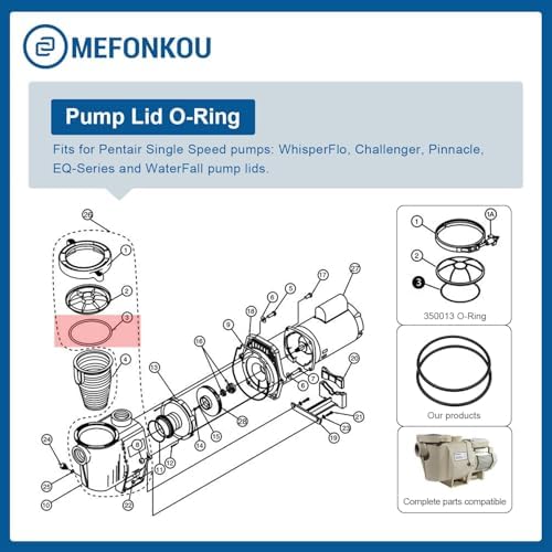 350013 Lid O-Ring for Pentair IntelliFlo/WhisperFlo Challenger Pump Trap and PacFab Pool/Spa Pump, Replacement Models 352600 and 355332 (2/ Pack)