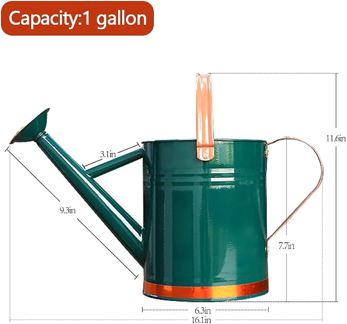 Metal Watering Can, One Gallon Watering Cans Stainless Steel for Outdoor Indoor Garden Plants Watering (One Gallon Green Decorative Strip)