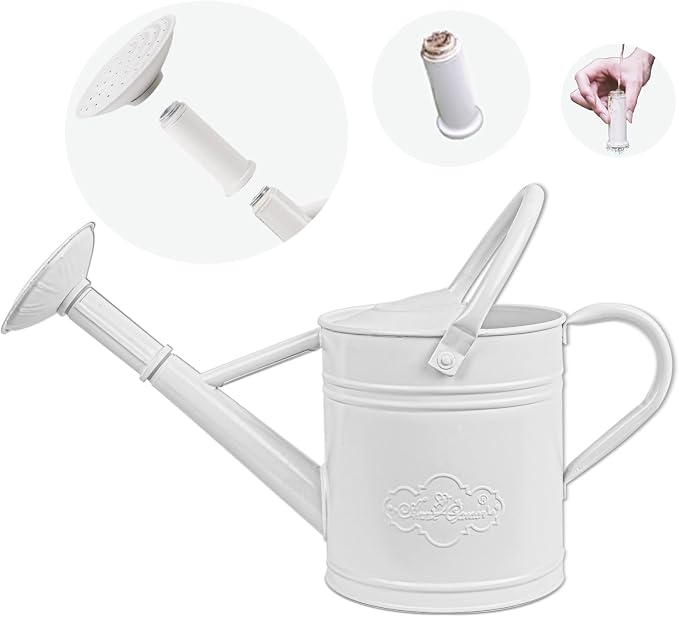 1 Gallon White Metal Watering Can for Indoor and Outdoor Plants, Removable Watering Rose and Spout, Dual Handle Garden Water Can for Patio, Greenhouse and Houseplants