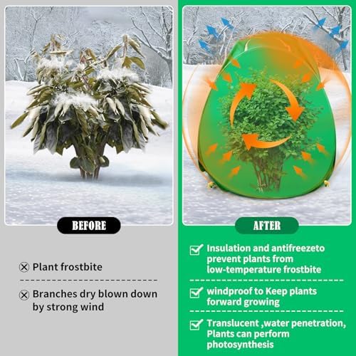 2 Pack Pop Up Winter Plant Covers, 35x35x39 Freeze Protection Shrub Covers - Image 5