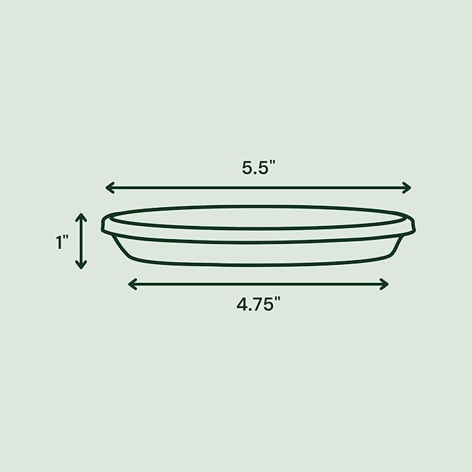 Bloem 6" Terra Round Plant Saucer, Lightweight UV-Resistant Resin Outdoor & Indoor Flower Pot Tray - Fits 6-inch Planter Pots, Pebble Stone