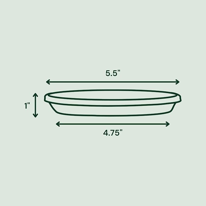 Bloem 6" Terra Round Plant Saucer, Lightweight UV-Resistant Resin Outdoor & Indoor Flower Pot Tray - Traditional Design and Durable for Garden and Home Décor - Fits 6-inch Planter Pots, Living Green