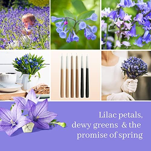 6 PCS Scented Taper Candlesticks 10 Inch Bluebell Scented Candle Aromatherapy Candles Gift Set Gradient Colored Candles for Home Decor Kitchen Decor Wedding Decorations - Image 3