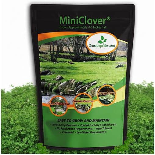 Outsidepride Perennial White MiniClover Seed - 1/4 lb. Dwarf, Small-Leaved, Drought & Wear-Tolerant Micro Clover Seeds for Lawn, Ideal Low-Maintenance & Easy to Grow Ground Cover Seeds for Home Yard