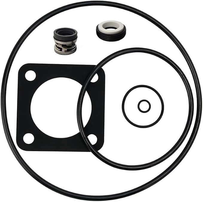 O-Ring Replacement Kit (1998 to Present) for Sta-Rite® P2RA & P2R DuraGlas/MaxeGlas Pump Rebuild Kit 54 - O-Ring Replacement Parts