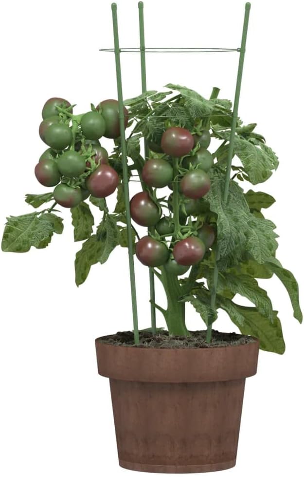 Steel Plant Stakes 5 Pcs Green 17.7 Inch with Plant Support Rings for Climbing Fruits Flowers Vegetables Tomato Cucumber Hydrangea Peonies