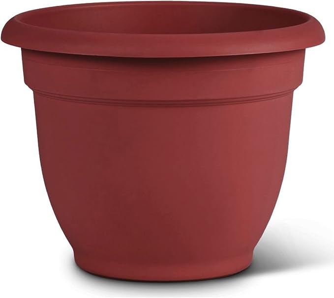 Bloem Ariana Self Watering Planter: 12" - Burnt Red - Durable Resin Pot, for Indoor and Outdoor Use, Self Watering Disk Included, Gardening, 3 Gallon Capacity
