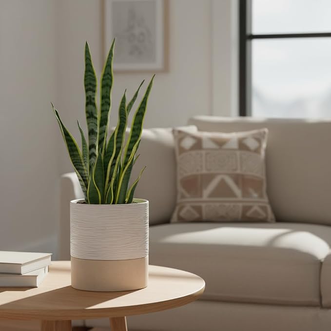 Nihow Ceramic Self Watering Plant Pot for Indoor Plants, 6 Inch,Cream White | Planter with Cotton Wick, Drainage Hole & Water Storage Plus, Cylinder Round Flower Pot, For Succulent/Herbs/Violets