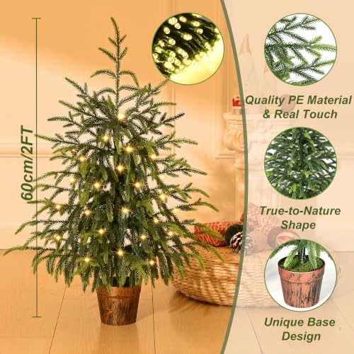 BLEUM CADE 2FT Small Norfolk Pine Tree with Lights, Tabletop Christmas Tree - Image 3