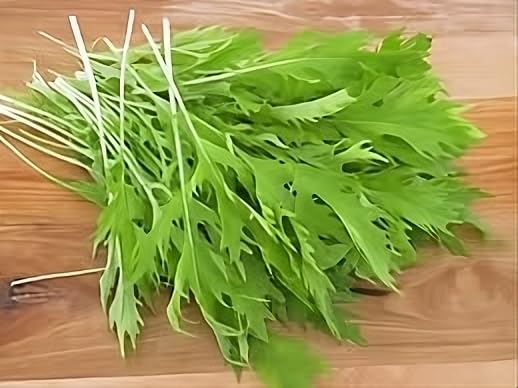 Mustard Mizuna Great Heirloom Vegetable By Seed Kingdom 600 Seeds