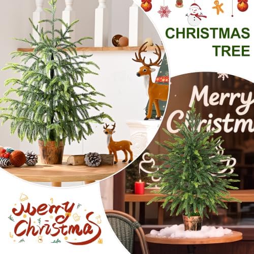 BLEUM CADE 2FT Small Norfolk Pine Tree with Pot, Table top Christmas Tree - Image 6