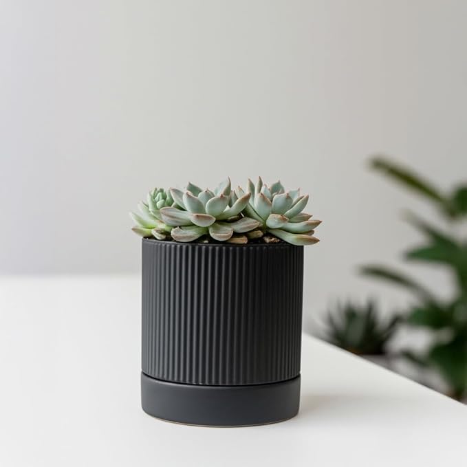 HERDUK Small Plant Pots, 4 Inch Pots for Indoor Plants, Modern Minimalist Ceramic Plant Pots with Drainage Hole & Saucer, Matte Black Set of 2