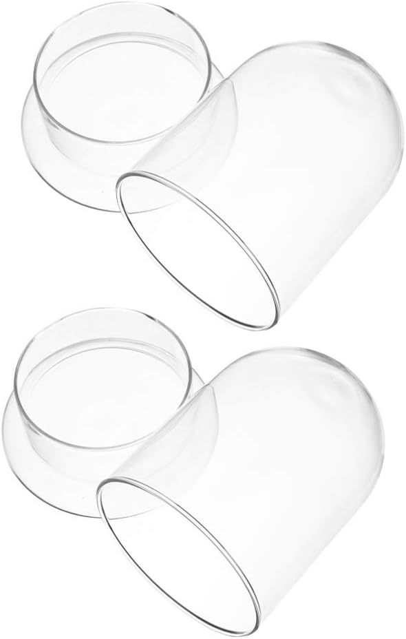 2-Pack Glass Terrarium Jar with 8mm Vent Hole, Clear Plant Dome Cloche Container for Moss DIY, Micro Landscape Flower Ecological Bottle
