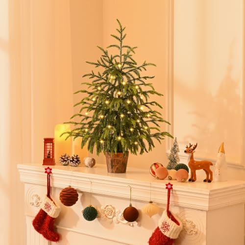BLEUM CADE 2FT Small Norfolk Pine Tree with Lights, Tabletop Christmas Tree - Image 5