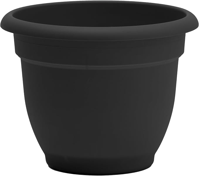 Bloem Ariana 12" Self-Watering Plastic Planter - Rolled Rim Indoor/Outdoor Garden Pot, Black, 2-Pack
