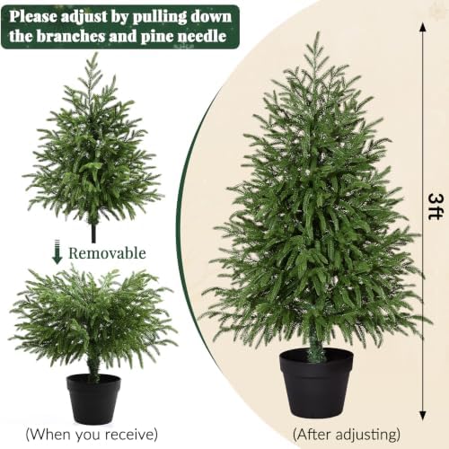 3FT Small Christmas Tree with Lights, Pre-Lit Norfolk Pine Tree Potted - Image 3