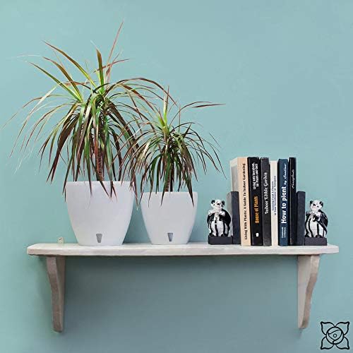 Santino 7.9 Inch Deco Self Watering Pots for Indoor Plants in Anthracite (Set of 3) - Decorative Flower Pot with Water Level Indicator and Drainage Cartridge for All House Plants, Flowers and Herbs