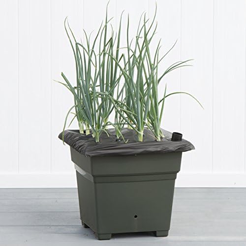 EarthBox Novelty 81701 Garden Kit, Green