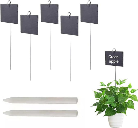 Slate Plant Labels Garden Markers Signs Labels with Stainless Steel Stake & Marker Pen Waterproof Slate Plant Labels for Flowers, Herbs, Potted Plants, Seed (Rectangular, 5PCS)
