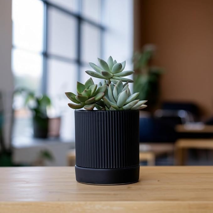 HERDUK Small Plant Pots, 4 Inch Pots for Indoor Plants, Modern Minimalist Ceramic Plant Pots with Drainage Hole & Saucer, Matte Black Set of 2