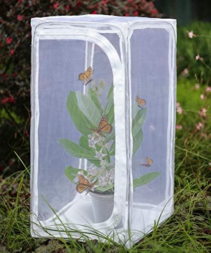 30" Heavy Duty Monarch Butterfly Habitat, Outdoor Collapsible Insect Mesh Cage Terrarium Pop-up with Zipper Protection by RESTCLOUD