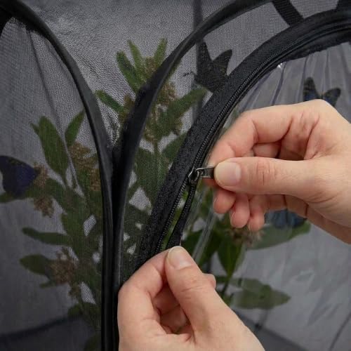 Insect & Butterfly Habitat Cage, Portable Pop-Up Terrarium with Mesh Sides, Bug Catching & Observation Enclosure for Caterpillars, Small Insects, Outdoor & Classroom Use, 24 Inches Tall - Image 4