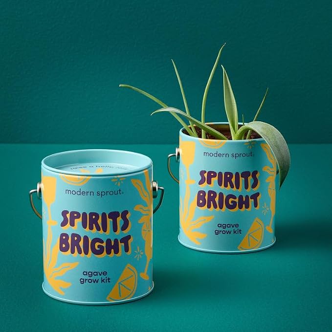 Modern Sprout Complimentary Seed Starter Grow Kits (Pack of 3) - Unique Gift for Plant Lovers - Includes Organic Spruce Eucalyptus and Agave Seeds - Plant and Gardening Gifts that Grows with Love