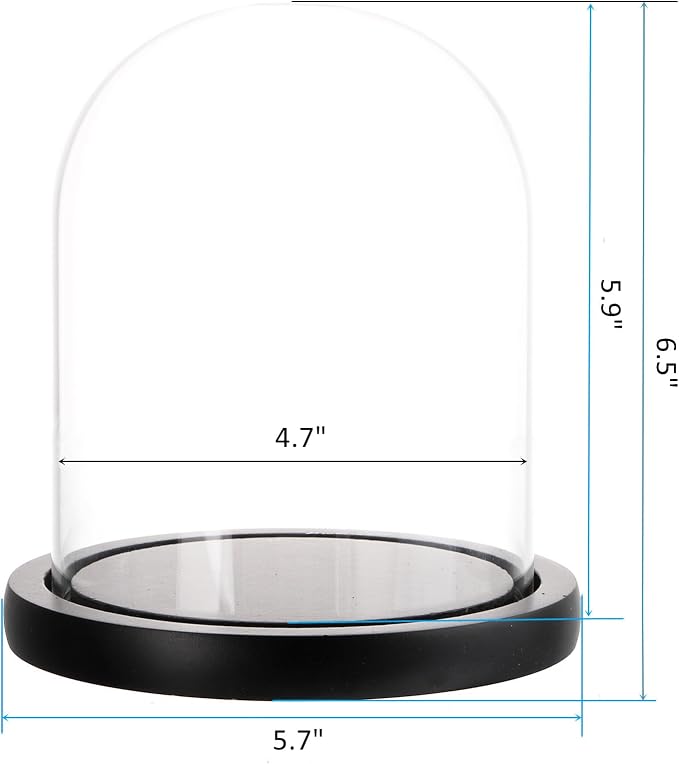 ZOOFOX Set of 2 Glass Dome Cloche with Black Wooden Base, 5.7" x 6.5" Decorative Bell Jar Display Dome for Plants, Fairy Lights, Photos, Succulents and Medals