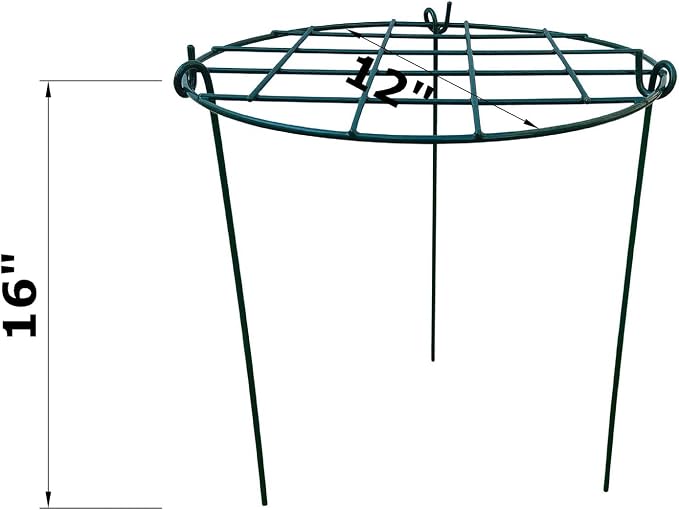 10 Pack 12 x 16 inch Poeny Cage Grow Through Grid Plant Brace Flower Support Rings,Round Metal Plant Stakes Rings, Strong Large Garden Supports for Flowers, Peonies, Rose, Lily