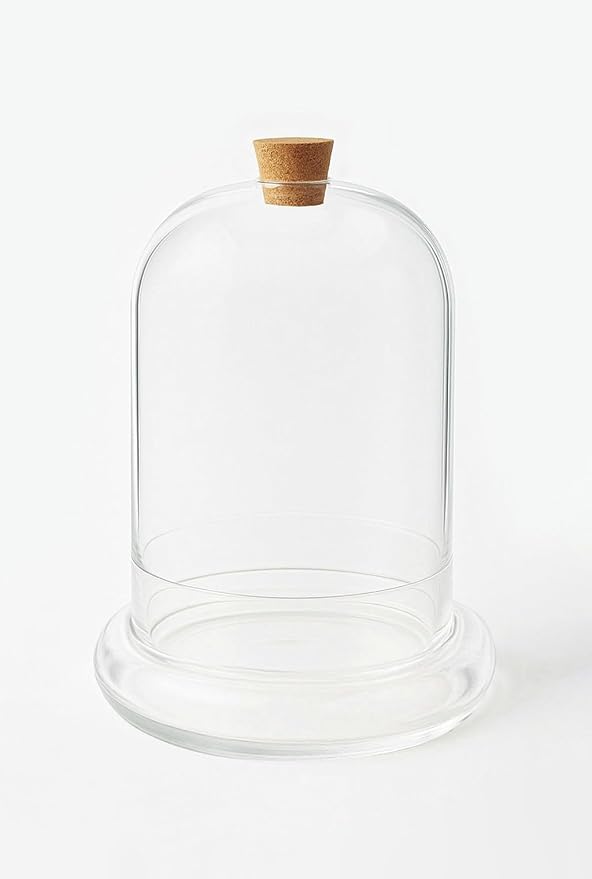 Handblown 7" Glass Terrarium with Opening for Air Flow & Cork Stopper Cloche Style Glass Dome Vivarium Display Case (Small)