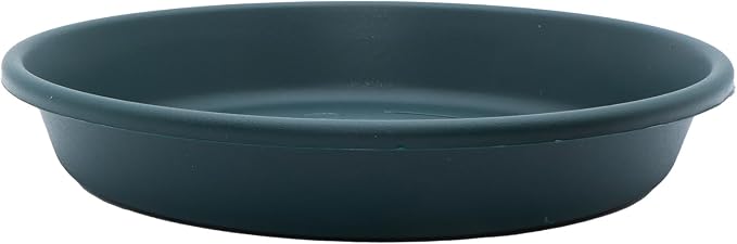 The HC Companies Flower Pot Saucers - Plastic Plant Saucer for Outdoors & Indoors - Traditional Design Plant Pot Trays for Water Drainage - Durable & Stylish Round Plant Tray (10-inch Evergreen)