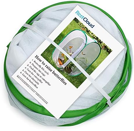 RESTCLOUD Insect and Butterfly Habitat Cage Terrarium Pop-up 24 Inches Tall with Zipper Protection - Image 5