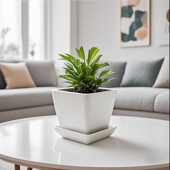 Square Ceramic Plant Saucer Tray 2 Pcs 4 Inch White, 4.8" OD x3.9 ID x0.7 Deep, Sturdy Heavy Duty Glazed Planter Drip Flower pots with Catch Basin for Indoor Outdoor Plants(4" White)