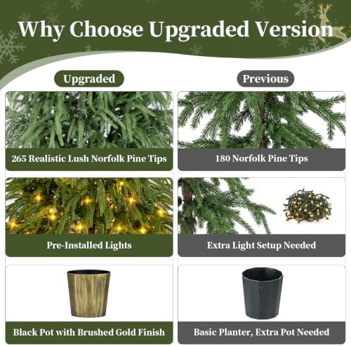 BLOSMON 5 ft Norfolk Pine Christmas Tree for Outdoor Porch, Pre Lit - Image 2