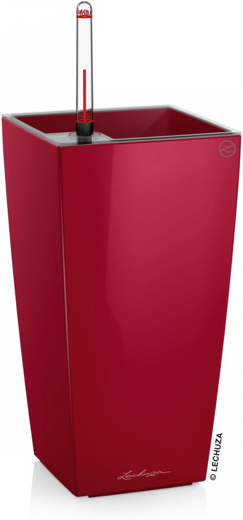 Lechuza Maxi-CUBI Scarlet Red High Gloss, Self-Watering Small Indoor Planter, H10.2 L5.5 W5.5 in