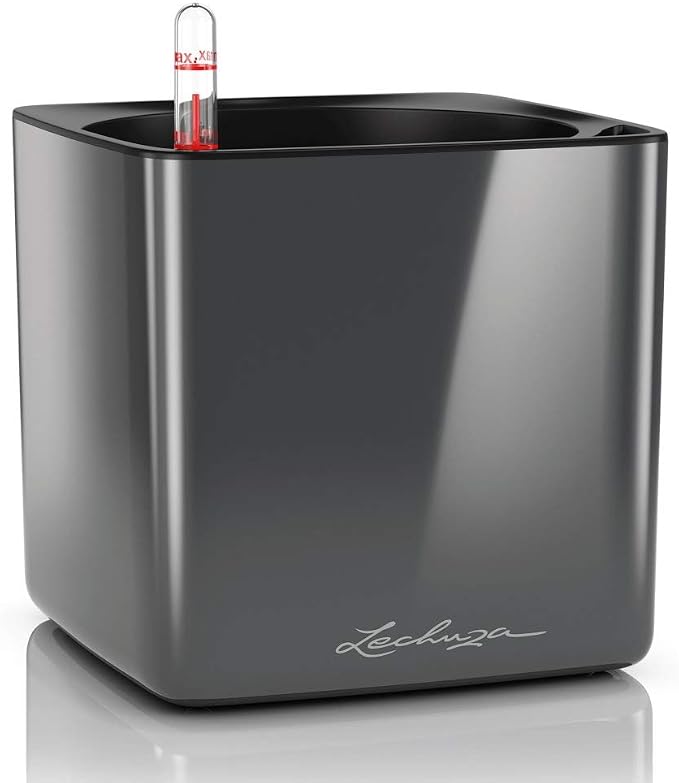 Lechuza Cube Glossy 16 Charcoal High Gloss, Self-Watering Indoor Small Plant Pot, H6.3 L6.7 W6.7 in