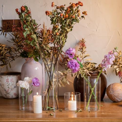 Devilfire 12Pcs Glass Cylinder vases for Centerpieces, 6 Inches Tall Flower Vases Wedding Decorations,Bulk Cylinder Flower& Plant Vases,Hurricane Candle Holder for Table Shelf, Party. - Image 3