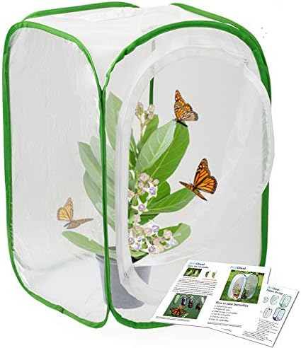 RESTCLOUD Insect and Butterfly Habitat Cage Terrarium Pop-up 24 Inches Tall with Zipper Protection by RESTCLOUD